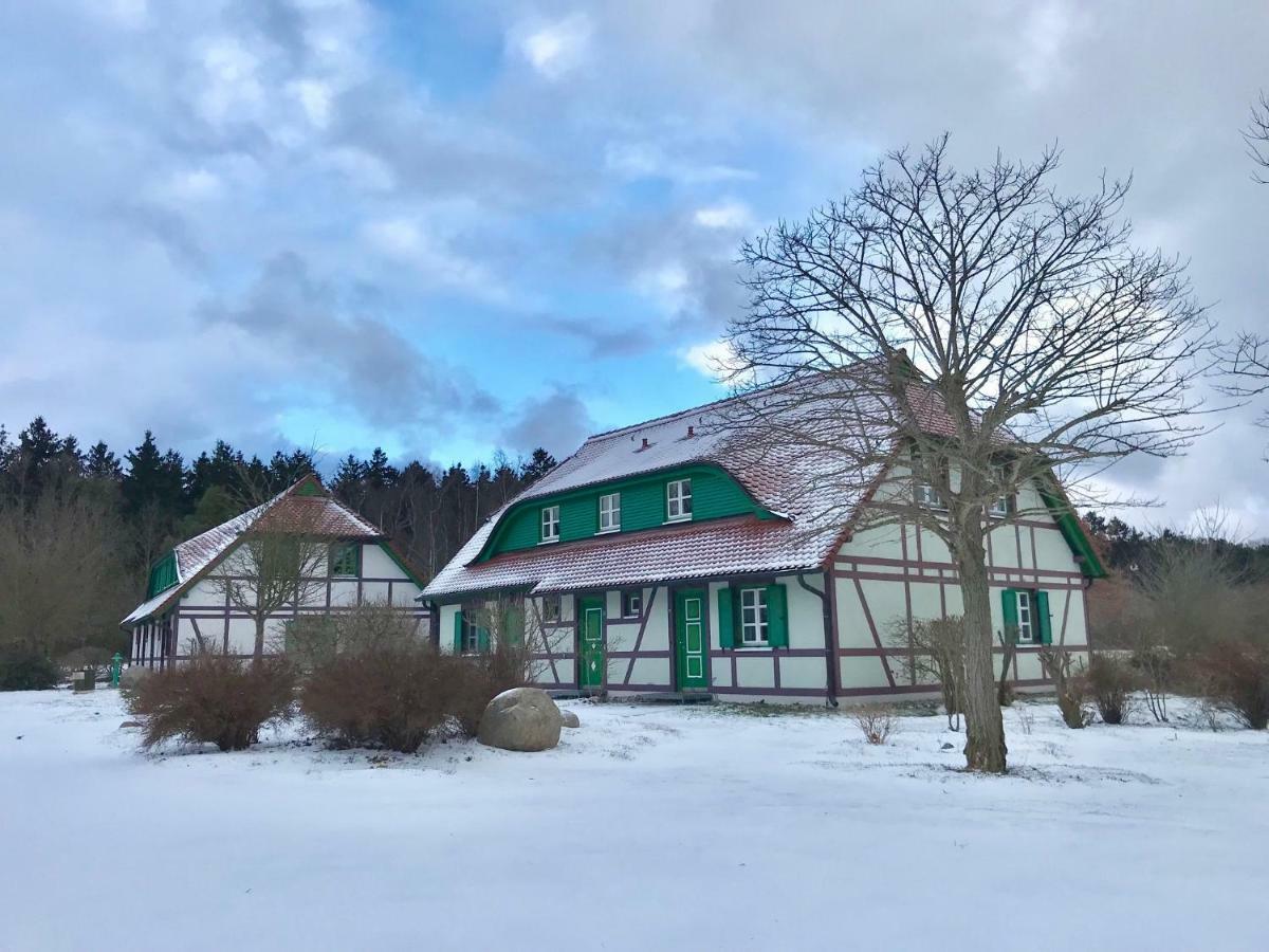Strandnahe Ferienwohnung Ruegen Dranske Bagian luar foto